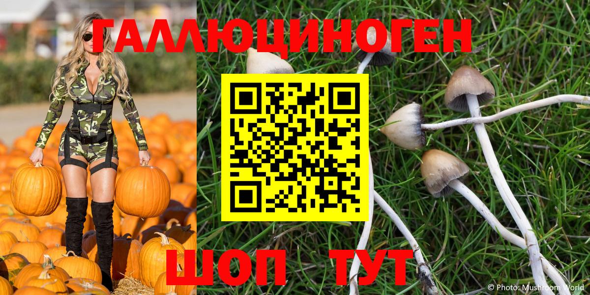Псилоцибиновые грибы MAGIC MUSHROOMS Аксай